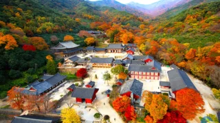 구례 화엄사 전경