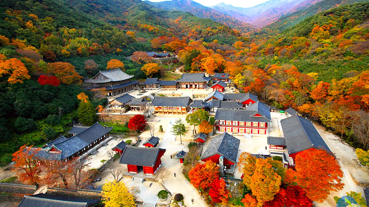 구례 화엄사 전경