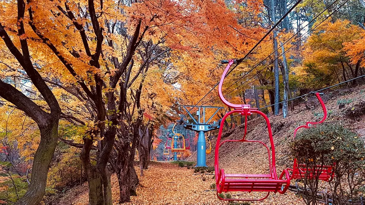 지산유원지 단풍 지산유원지 단풍