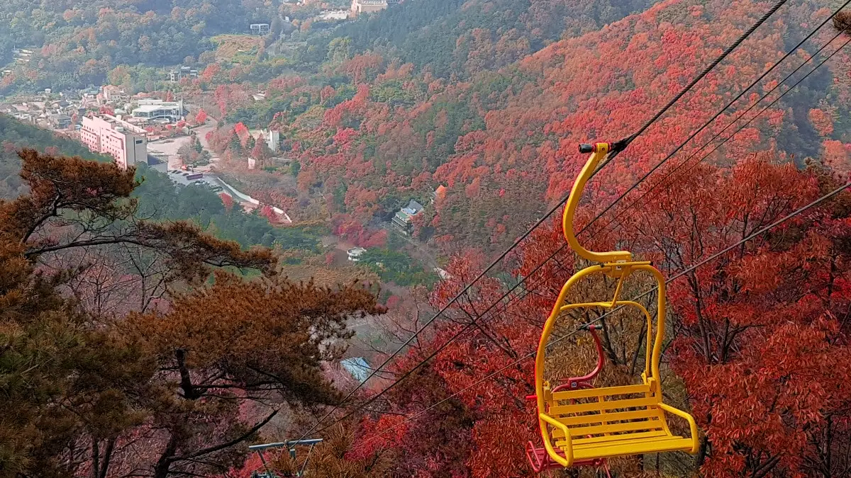 지산유원지 가을 전경 지산유원지 가을 전경