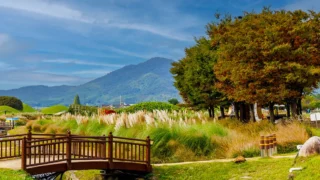 경주 동부사적지대 갈대정원