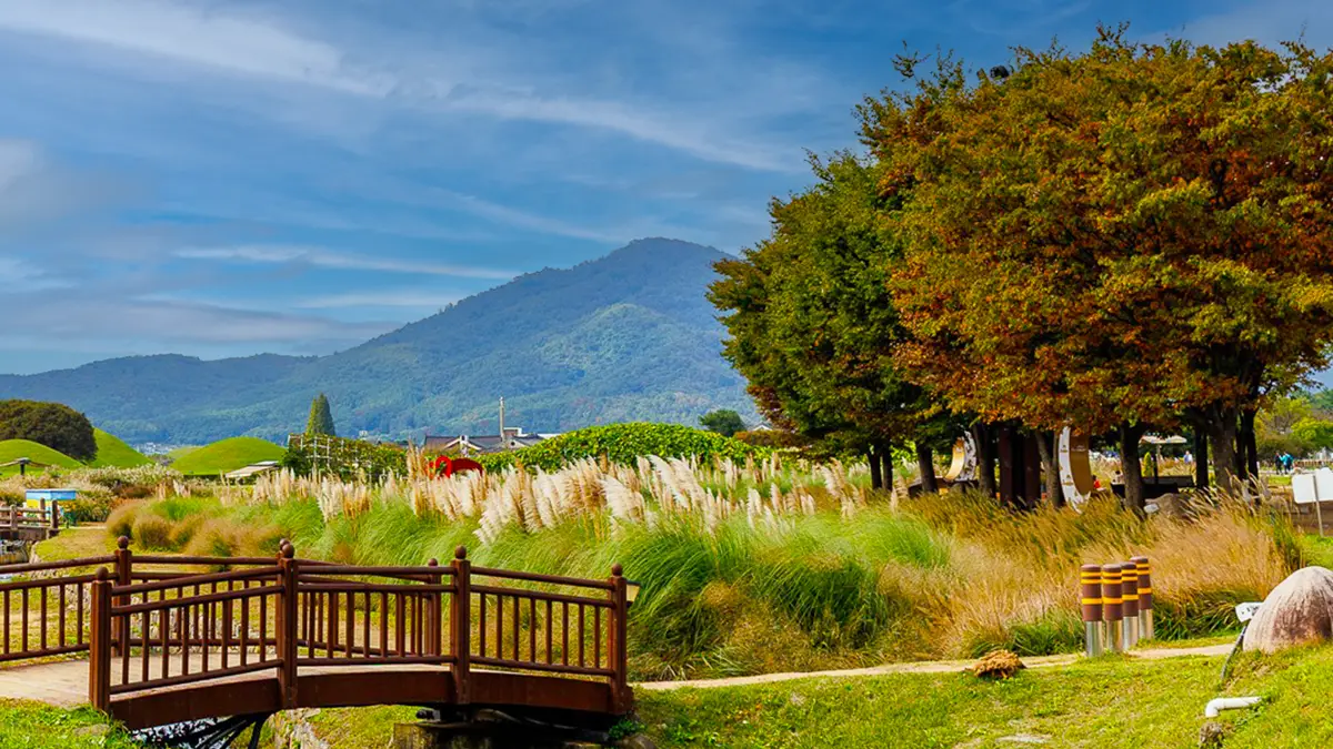 경주 동부사적지대 갈대정원
