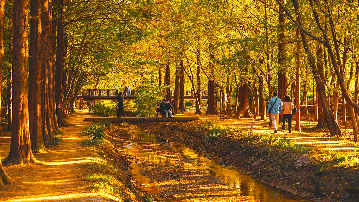 경주 천년숲 경주 천년숲