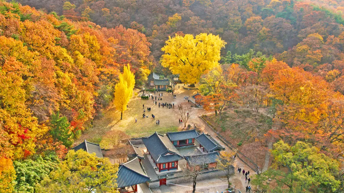 운곡서원 가을 전경 운곡서원 가을 전경