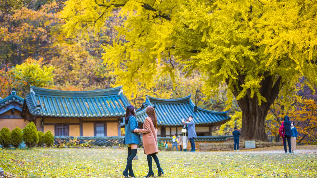 운곡서원 가을 풍경 운곡서원 가을 풍경