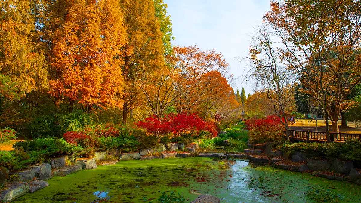 경상남도수목원 가을 경상남도수목원 가을