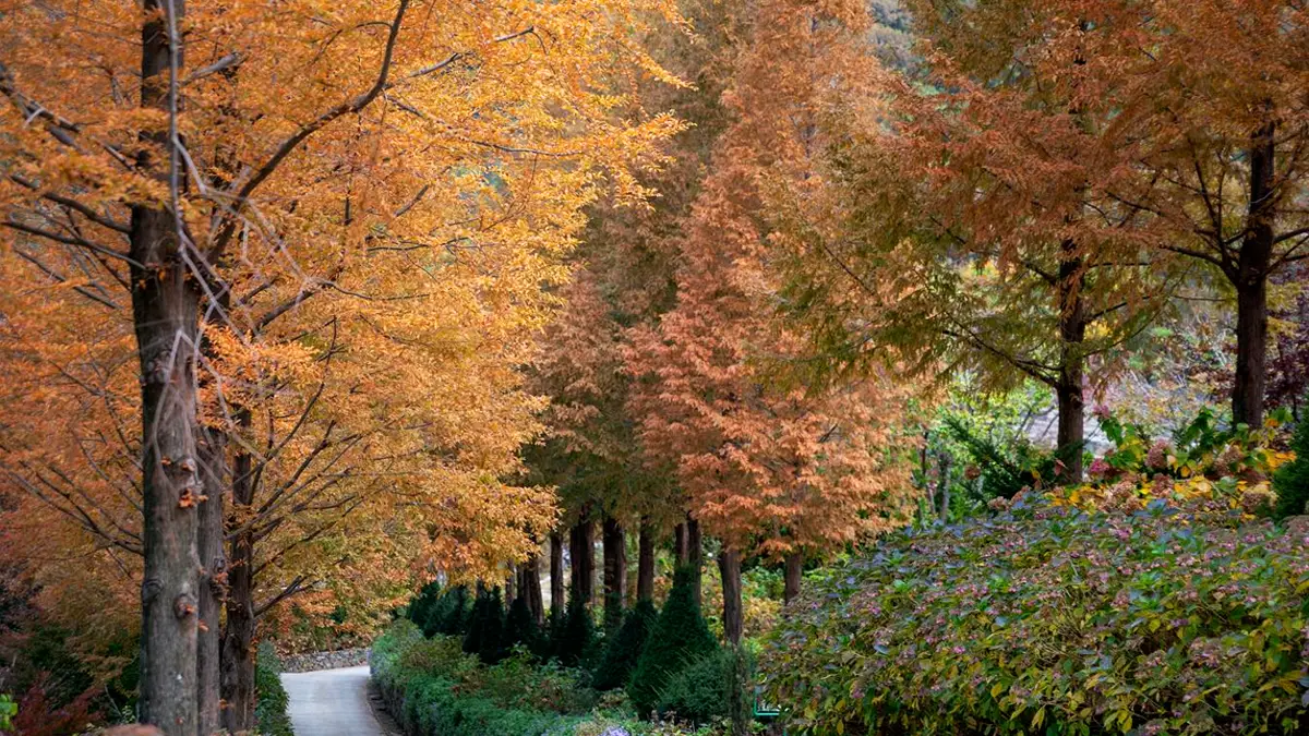 고성 그레이스정원 고성 그레이스정원
