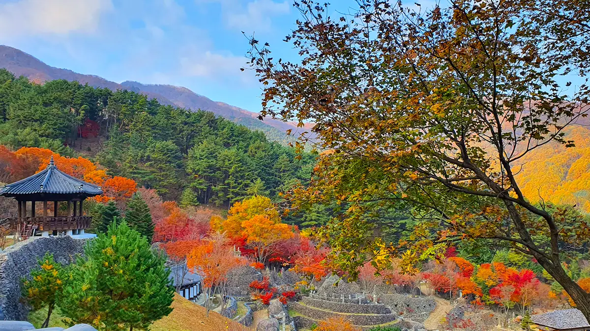 하동 삼성궁 전경