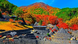 하동 삼성궁 단풍 명소