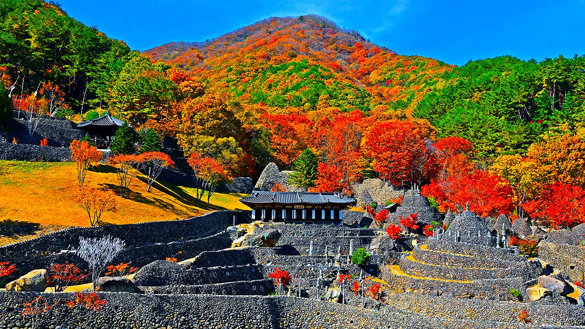 하동 삼성궁 단풍 명소