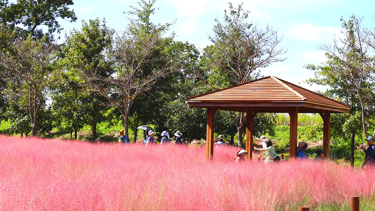 함안 악양생태공원 함안 악양생태공원