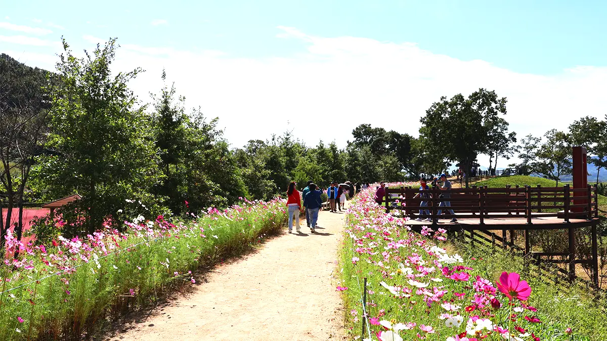 악양생태공원 산책길 악양생태공원 산책길