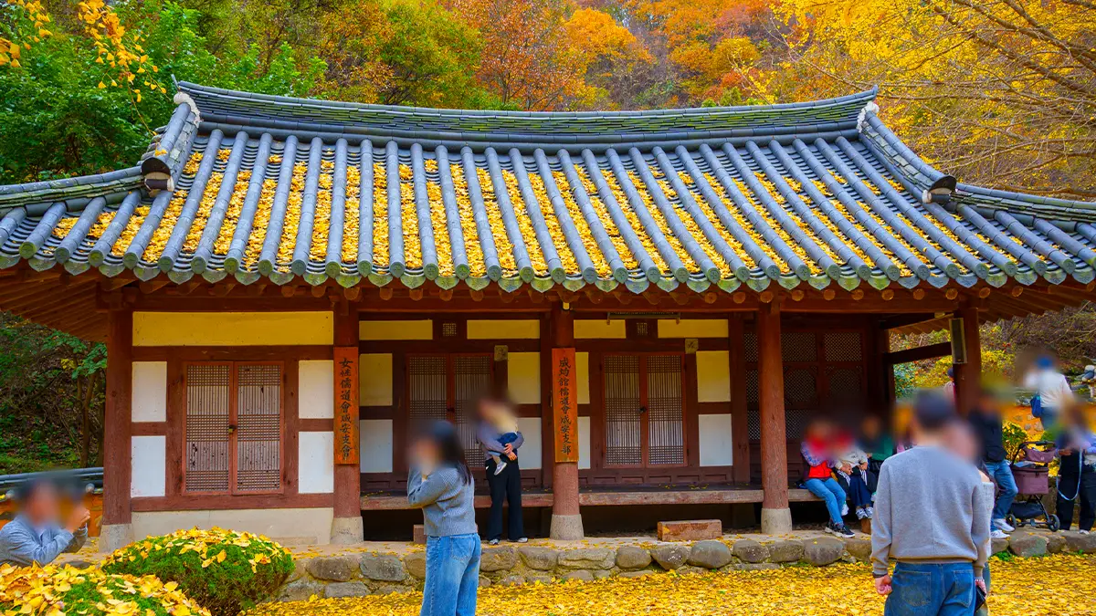 함안향교 함안향교