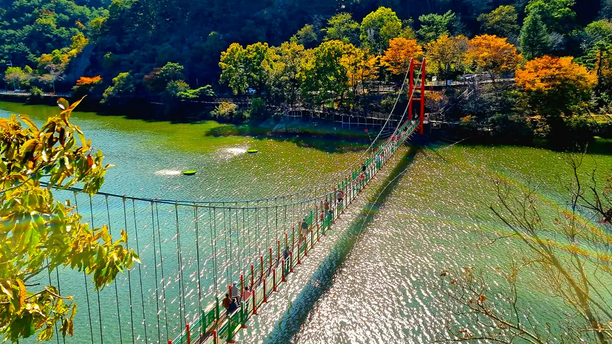 함안 입곡저수지 출렁다리