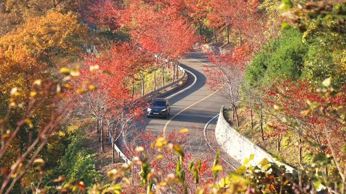 가을 한우산 드라이브