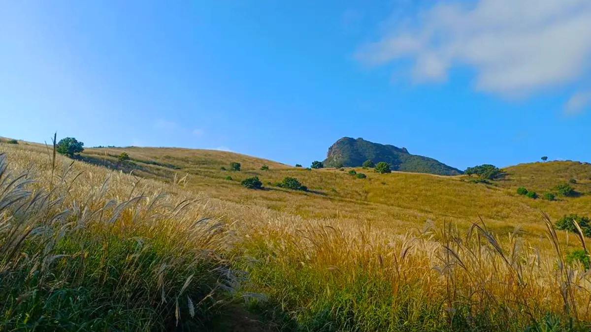 합천 황매산 억새축제