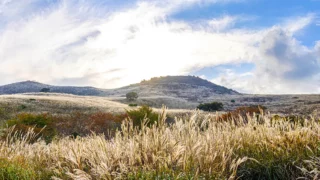 합천 황매산 억새 풍경