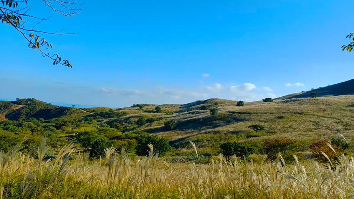 합천 억새 명소