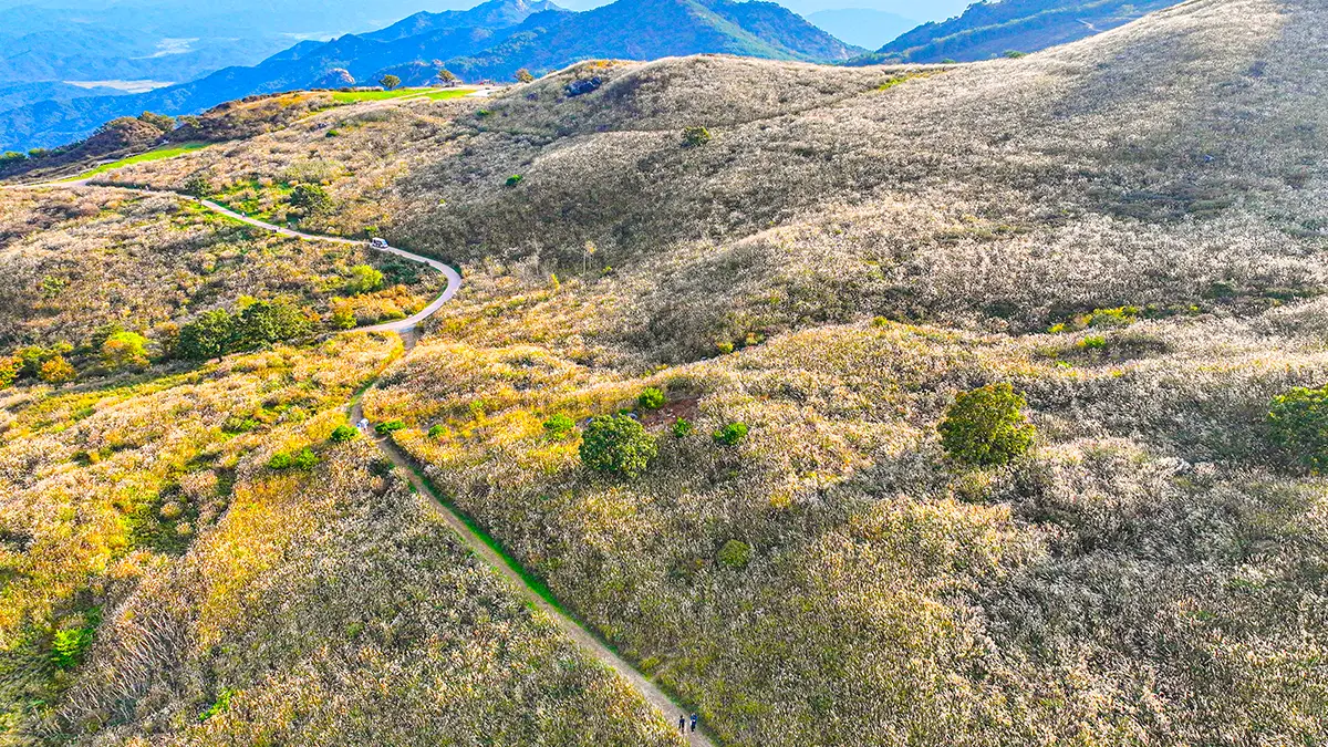 황매산 억새 항공