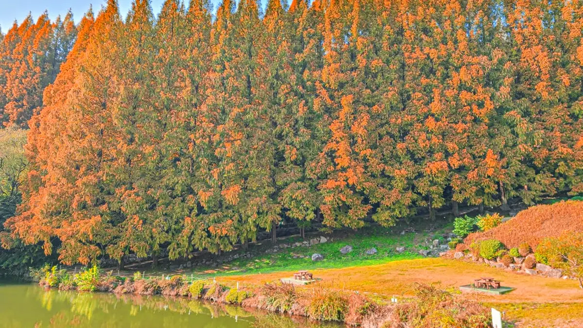 한국외대 명수당