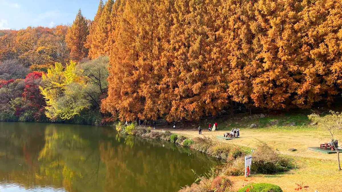한국외대 명수당 단풍