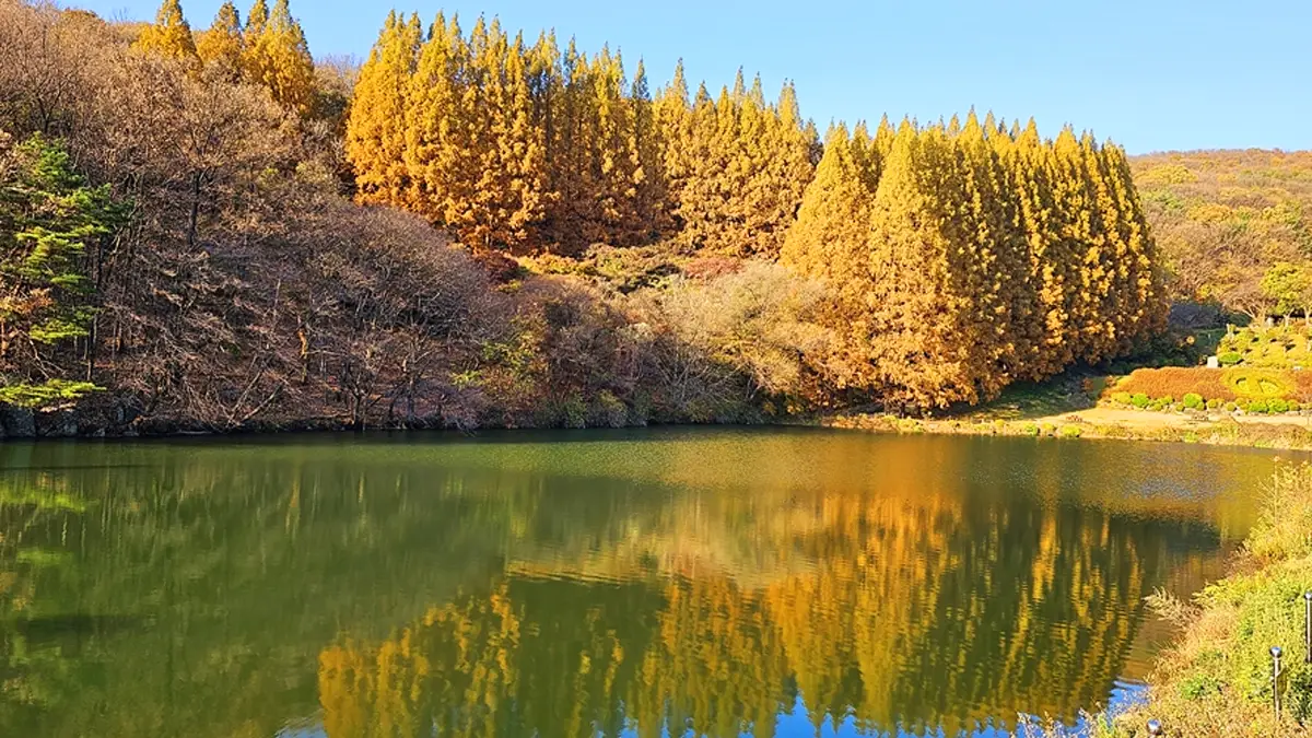 한국외대 명수당 가을