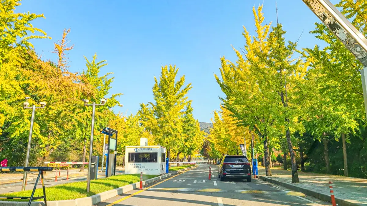 한국외대 입구