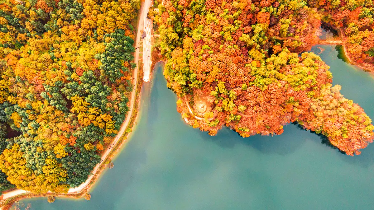 횡성호수길 횡성호수길