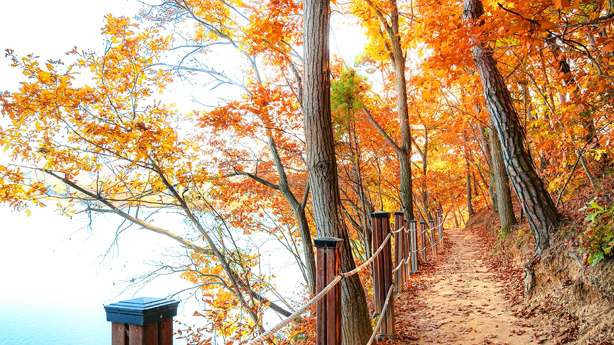횡성호수길 모습 횡성호수길 모습