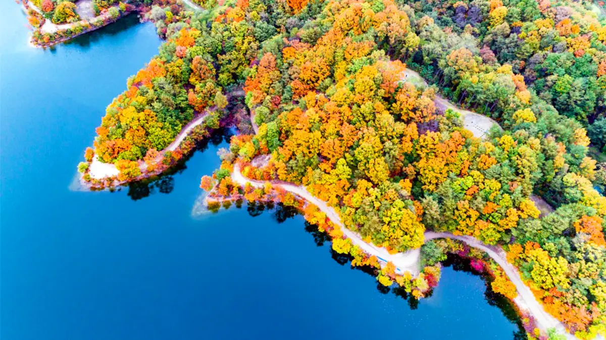 횡성호수길 전경 횡성호수길 전경