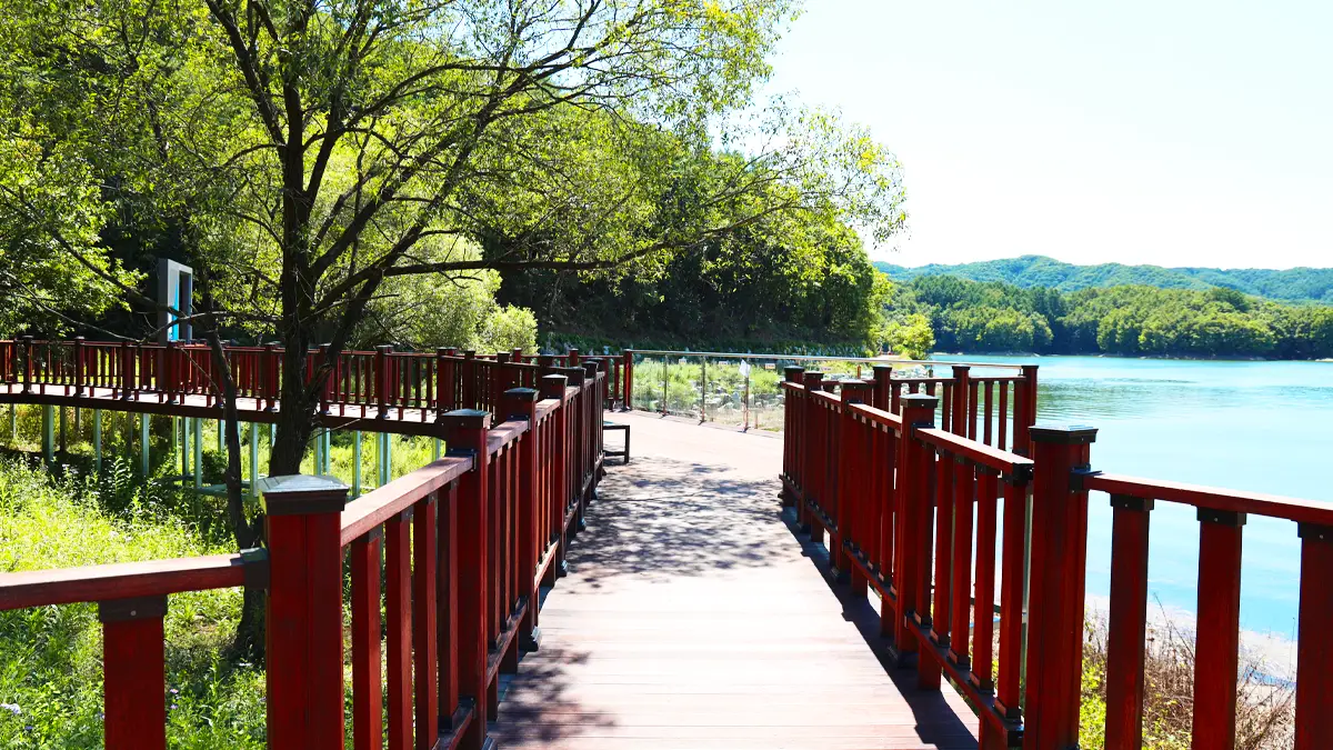 횡성호수길 데크길 횡성호수길 데크길