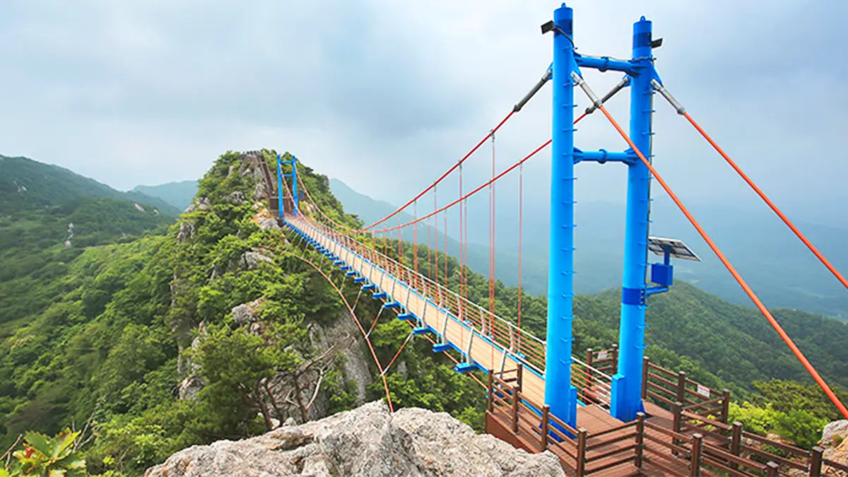 백아산 하늘다리 모습 백아산 하늘다리 모습