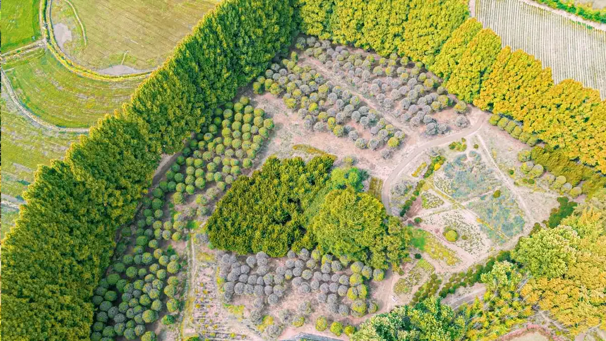 아가페정원 가을