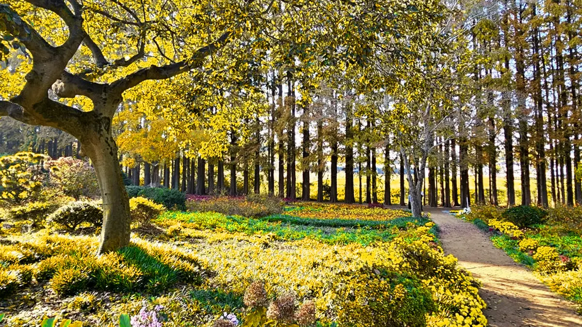 아가페정원 가을꽃