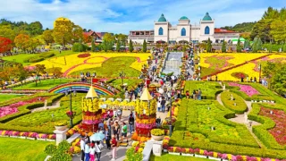 임실 치즈테마파크 국화정원