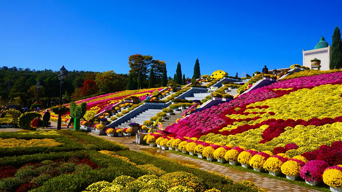 임실 치즈테마파크