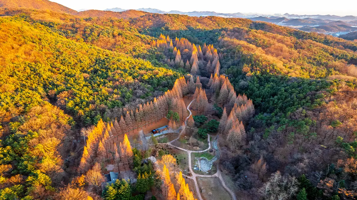 인천대공원 단풍 풍경