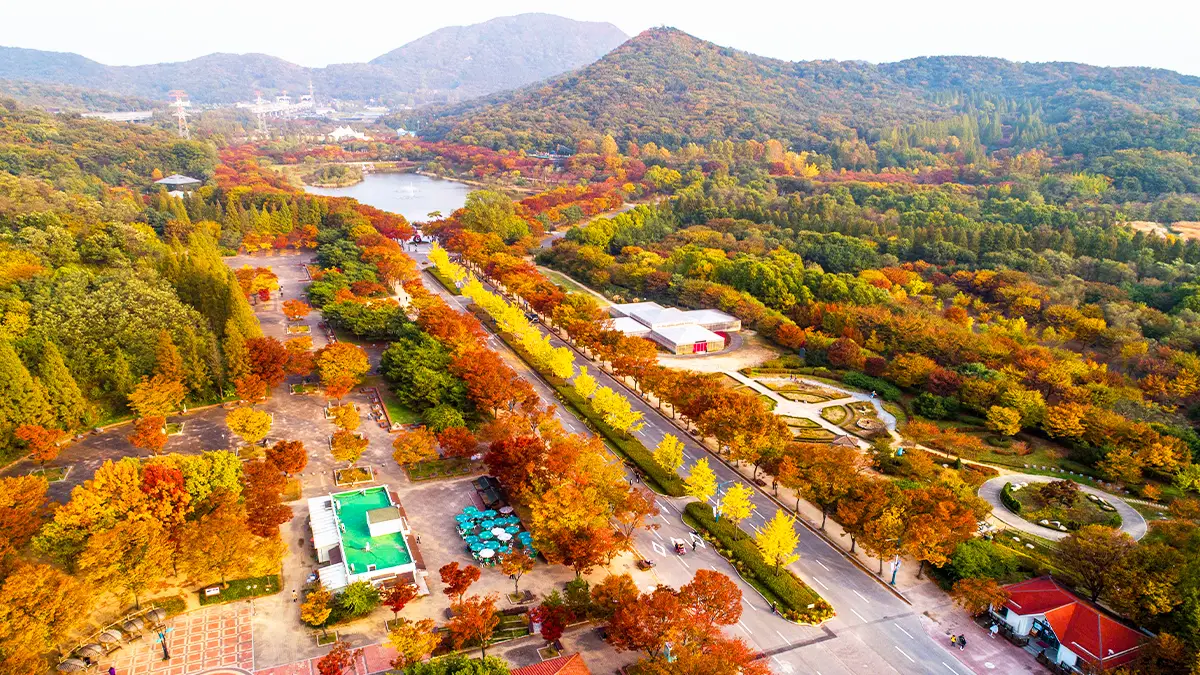 인천대공원 가을 전경