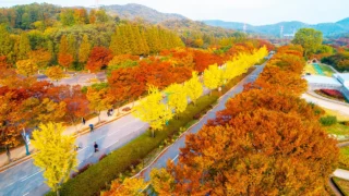 인천대공원 단풍
