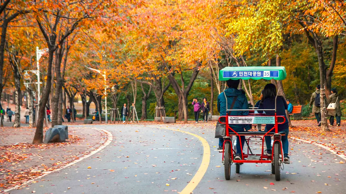 인천대공원 자전거