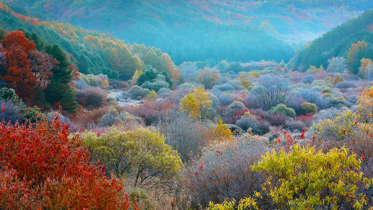 인제 비밀의 정원