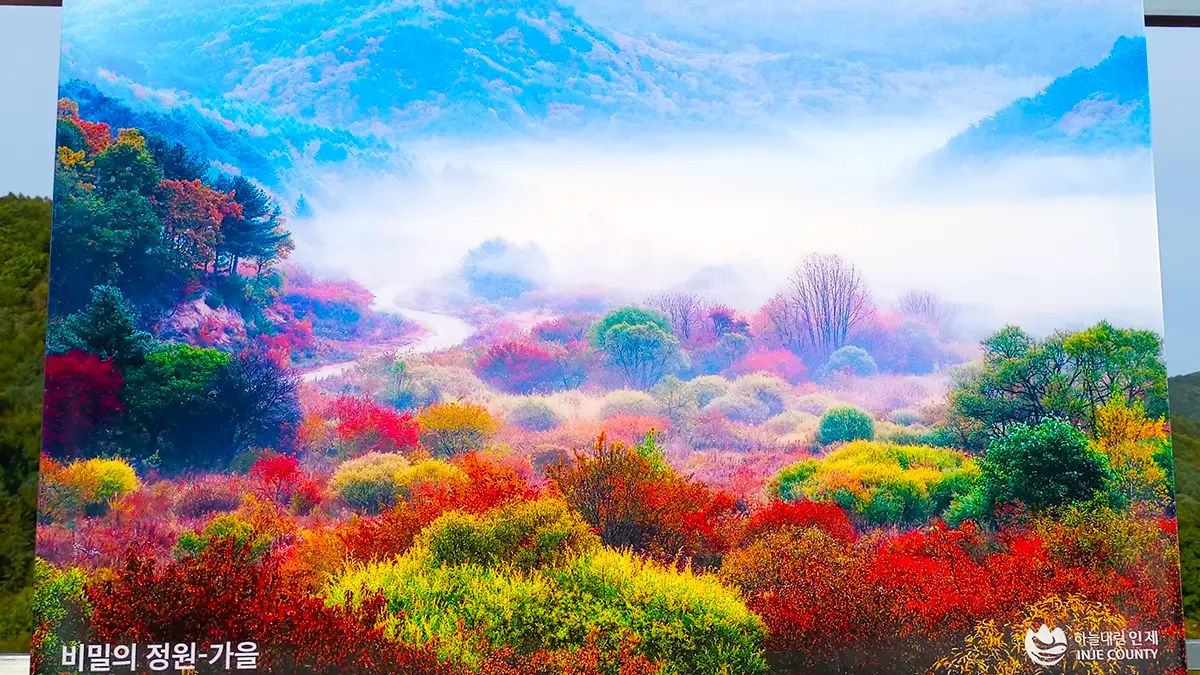 인제 비밀의 정원 전경