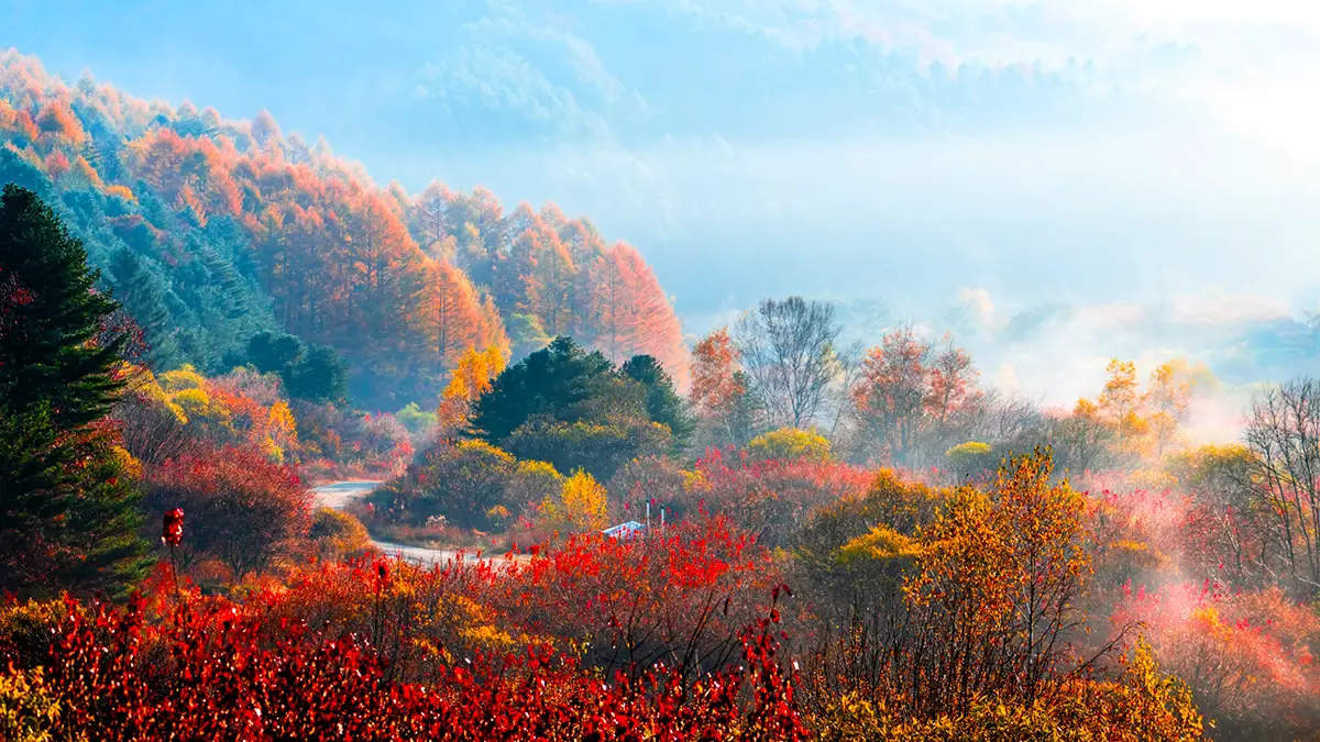 인제 비밀의 정원 가을