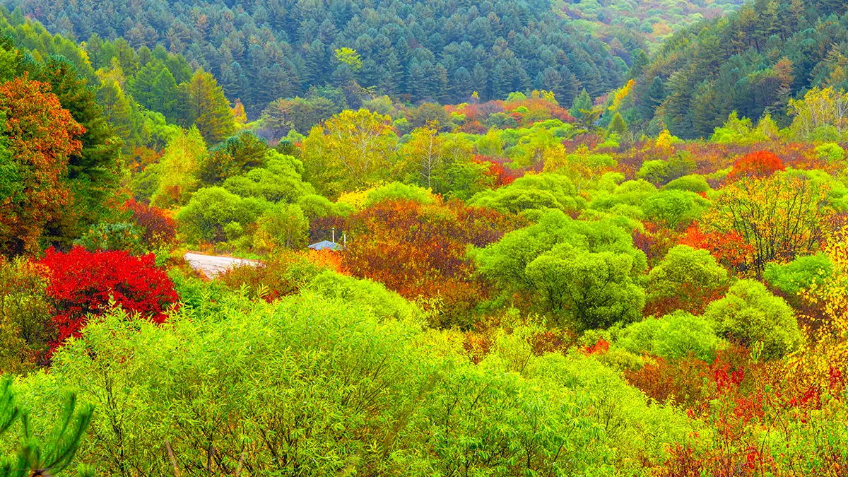 인제 비밀의 정원 풍경