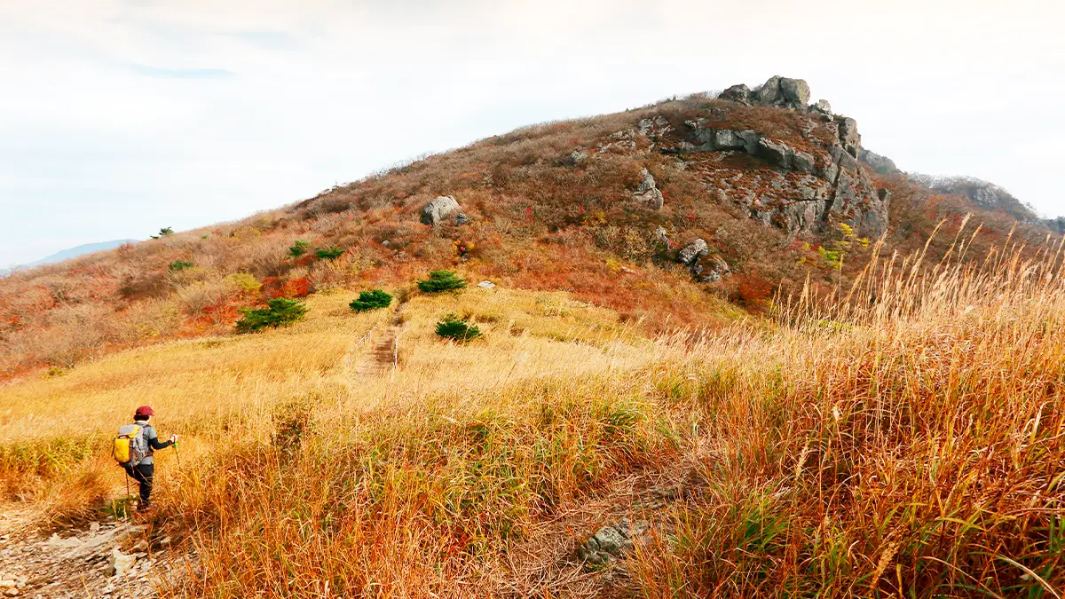 재약산 사자평 트레킹 재약산 사자평 트레킹