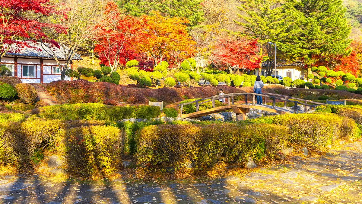 배론성지 가을 풍경