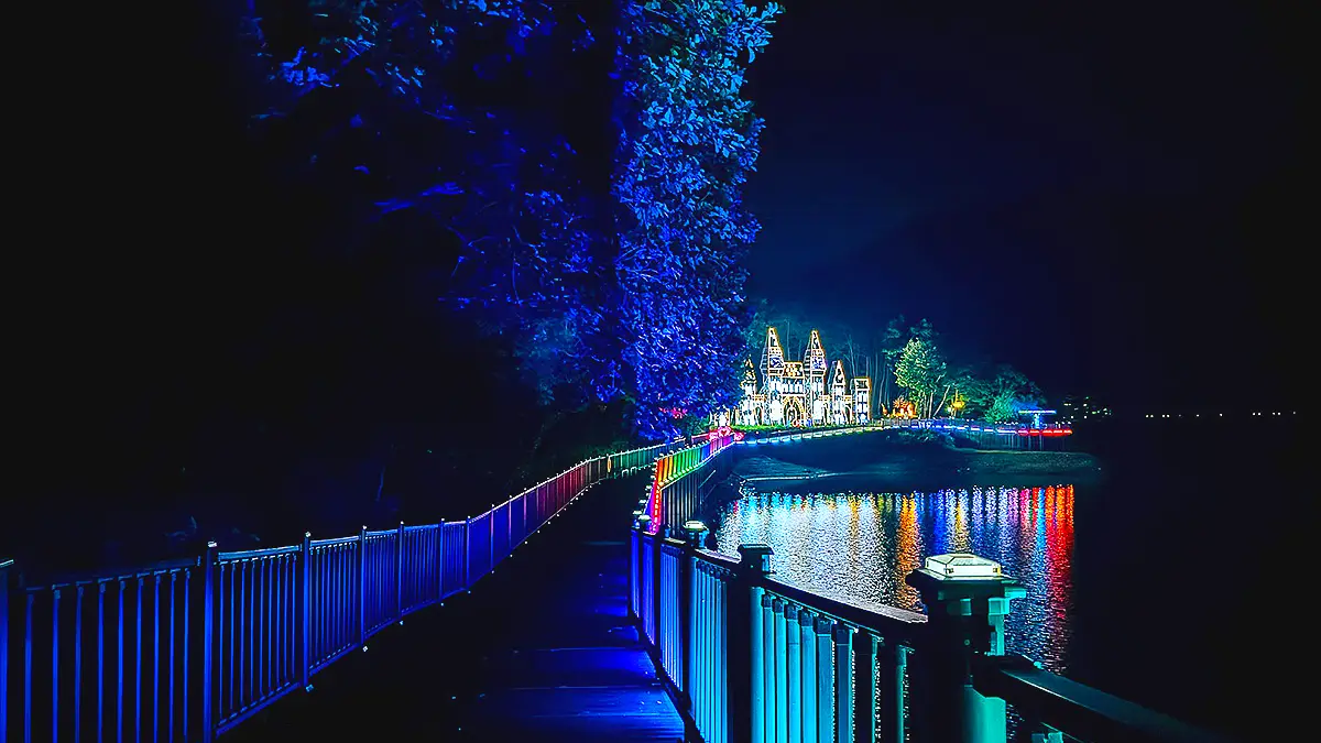 의림지 야경 의림지 야경