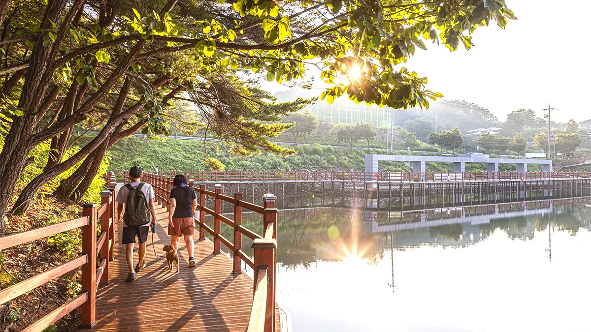 의림지 한방치유숲길 의림지 한방치유숲길