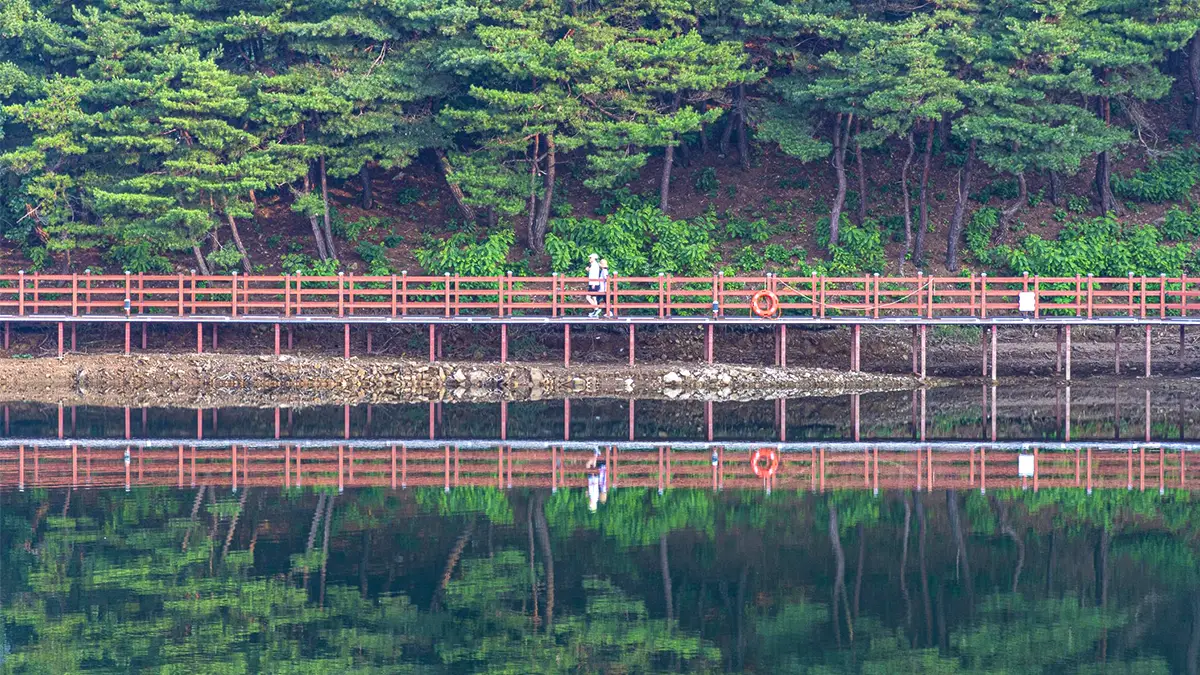 의림지 한방치유숲길 반영 의림지 한방치유숲길 반영