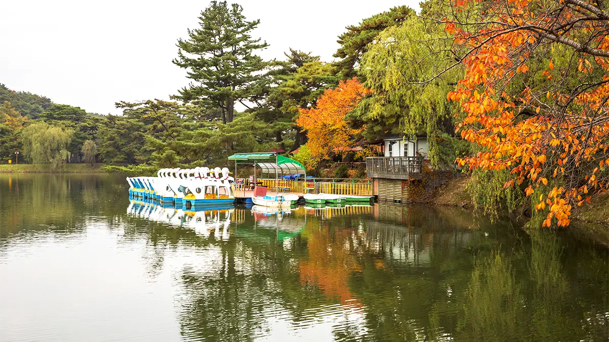 의림지 오리보트 의림지 오리보트